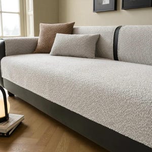May include: A light grey sofa with a textured, plush cover and two matching cushions. One cushion is a darker brown, and the other is a lighter grey. The sofa has a dark grey base and black accents.