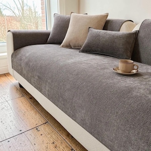 May include: A gray sofa with a white base and armrests, adorned with several pillows in shades of gray and beige. A small cup and saucer sit on the sofa. The sofa is placed near a window with a view of trees.