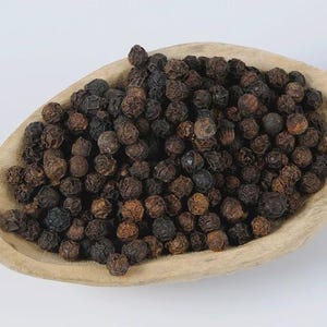 Peppercorn Seeds for Planting - Etsy