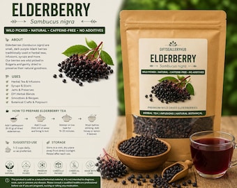 Vildplockade fläderbär (Sambucus nigra) för örtte, Bulgariens botaniska infusioner