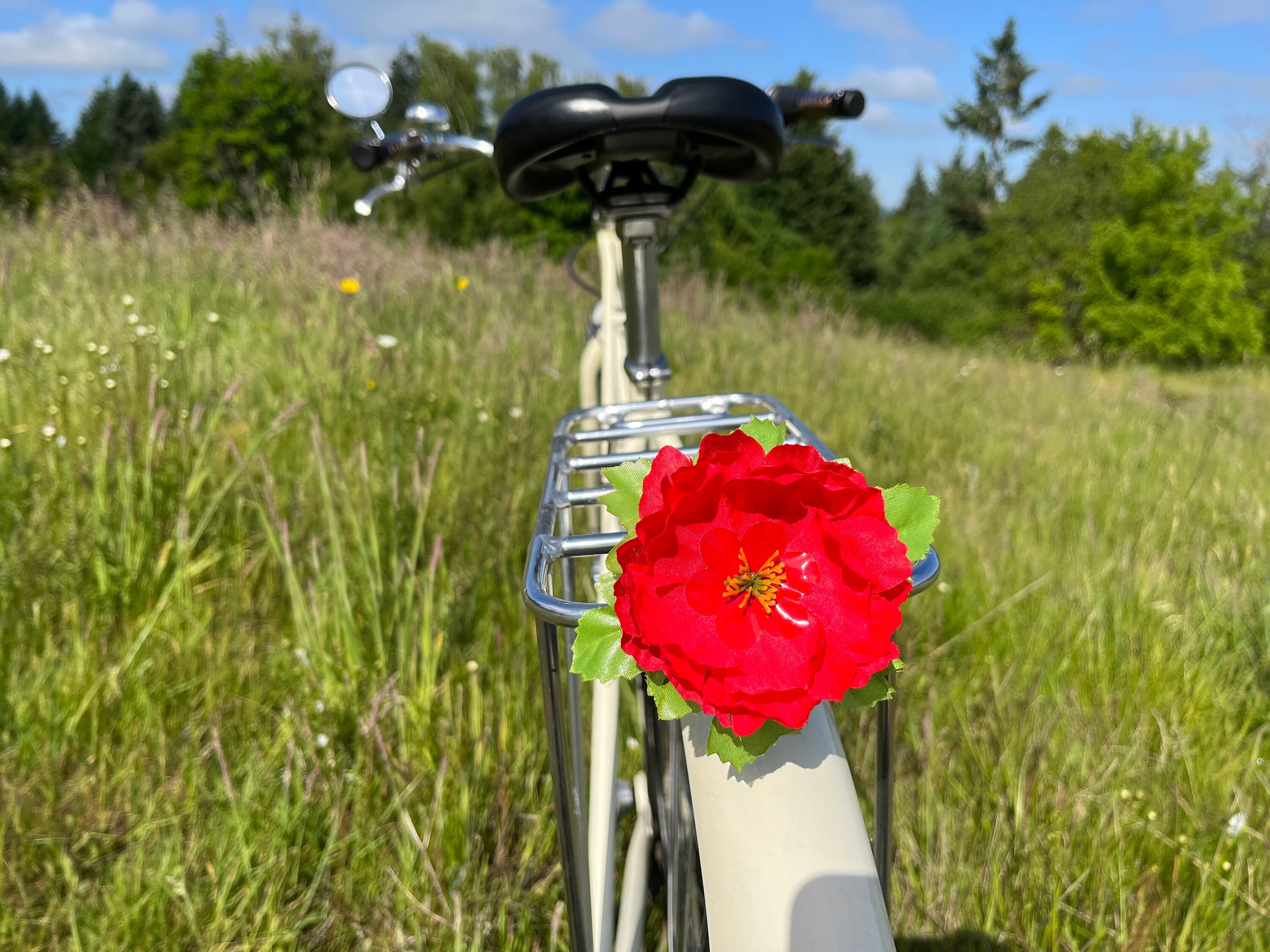 Bike outlet rear reflector
