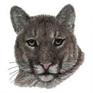 Op de afbeelding: Gedetailleerde illustratie van een cougarhoofd, weergegeven in grijstinten en bruin. De cougar heeft een roze neus, donkere ogen en zichtbare snorharen. Het kunstwerk staat tegen een effen witte achtergrond, wat de kenmerken van het dier benadrukt.