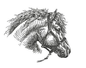 Horse Head Sketch Embroidery Design Equine Portrait PES Brother