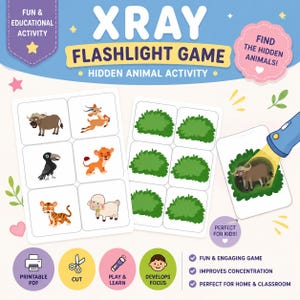 XRAY Fun Activity Flashlight Game Printable?  Hidden Animal Activity, Preschool Learning, PDF Download