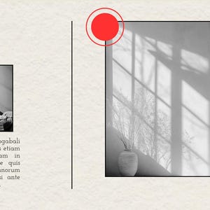 May include: A minimalist design layout with the word "portfolio" in red. The image features two framed black and white photos, one with text. A vase with plants sits in front of a window with shadows.