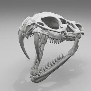 Può includere: Un modello 3D bianco opaco di un teschio di serpente con la mascella spalancata, che rivela prominenti zanne allungate e una serie di denti affilati più piccoli lungo le mascelle superiore e inferiore, mostrando la struttura ossea dettagliata.