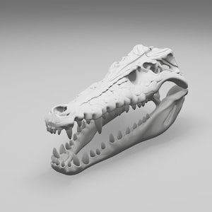 Crocodile Skull STL File, Reptile 3D Print Model (Digital Download)