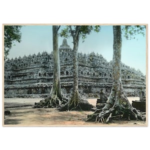 Può includere: Una stampa incorniciata del tempio di Borobudur in Indonesia. L'antico tempio buddista è in pietra e presenta intagli intricati. Tre grandi alberi con radici esposte sono in primo piano, con un cielo azzurro sullo sfondo.