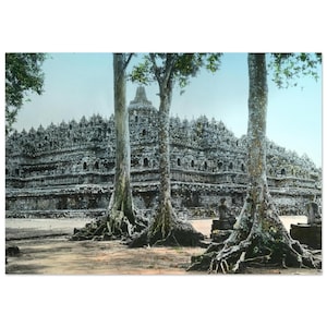Könnte beinhalten: Ein Foto des Borobudur-Tempels in Indonesien, einem großen buddhistischen Tempel. Der Tempel besteht aus grauem Stein und hat viele Ebenen. Im Vordergrund befinden sich drei große Bäume mit freiliegenden Wurzeln.