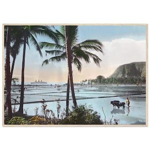 Könnte beinhalten: Ein gerahmter Vintage-Druck zeigt eine tropische Landschaft mit Palmen, einem Reisfeld und einem Berg. Eine Person und zwei Wasserbüffel befinden sich auf dem Feld. Ein Schiff ist in der Ferne zu sehen. Der Druck hat einen hellen Holzrahmen.