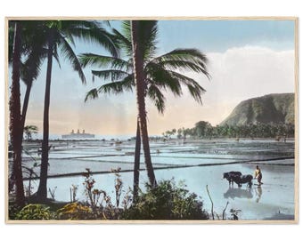 Museumsqualität Mattes Papier Holzgerahmtes Poster - Java, Kaiserin von Großbritannien Reisfelder und Palmen - Handkoloriertes Original, c.1900s