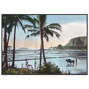 Könnte beinhalten: Gerahmtes Vintage-Foto zeigt eine tropische Landschaft mit Palmen, einem Reisfeld und einem fernen Berg. Eine Person arbeitet mit zwei Wasserbüffeln auf dem Feld. Ein Schiff ist am Horizont zu sehen.