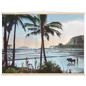 Könnte beinhalten: Ein Vintage-Druck eines tropischen Landschaftsbildes mit Palmen, Reisfeldern und einem Berg. Eine Person pflügt das Feld mit Ochsen. Ein großes Schiff ist in der Ferne zu sehen. Der Druck ist auf einem Holzrahmen montiert.