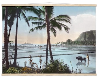 Poster auf mattem Papier in Museumsqualität mit Aufhänger - Java, Kaiserin von Großbritannien - Reisfelder und Palmen - Handkoloriertes Original, um 1900