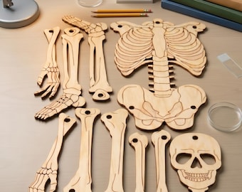 Menschliches Skelett SVG DXF PDF Laser Cut Dateien | 3 mm Cnc Schnitt Vorlage | Bewegliches Gelenk Skelett Modell | Anatomie Dekor | MDF Sperrholz Schnitt-Plan