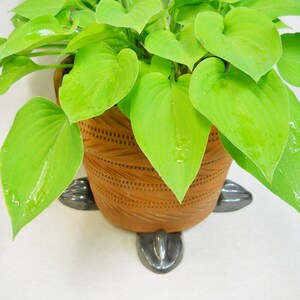 May include: A vibrant green plant with large, heart-shaped leaves in a decorative brown ceramic pot. The pot has a textured design and is supported by three dark gray feet. The plant is against a white background.
