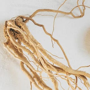 Ashwagandha-rot | Withania Somnifera | Torkade örter | Örtte | Örtprodukter | Ört i lösvikt | Örtmedicin bild 5
