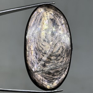 Peut inclure: Une pierre précieuse ovale avec un motif tourbillonnant et stratifié dans des tons de gris, de noir et d'or. La pierre est maintenue par une pince, mettant en valeur sa surface polie et son design naturel. Les dimensions de la pierre ne sont pas visibles.