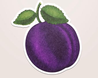 Plum Sticker, Purple Fruit Decal, Kawaii Foodie Vinyl Sticker