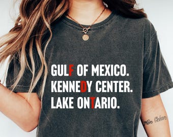 FDT Gulf Of Mexico Kennedy Center Lake Ontario Shirt, Funny Protest Tee, Anti-Trump Pro-Democracy Tee, Subtle FDT Lake Shirt
