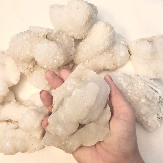 1 Gallon Fossil Mining Bucket - Educational Fossil Dig Kit With Crackable Geode