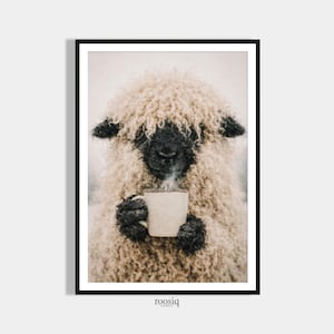 Funny Sheep Vintage Coffee Poster, Dining Room Wall Art, Kitchen Prints, Valais Blacknose Sheep, Printable Art, Funny home decor,