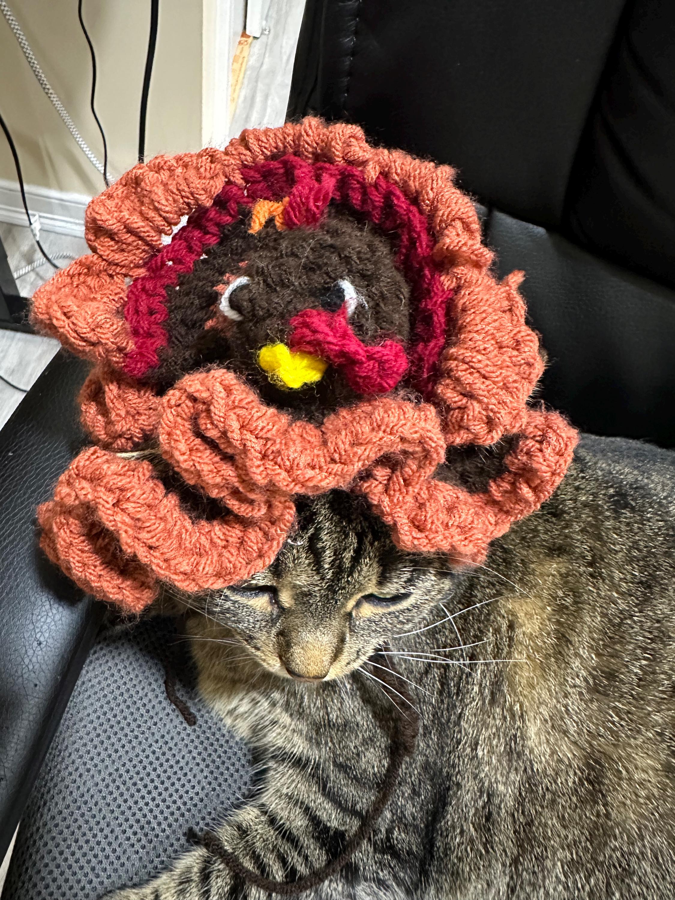 Thanksgiving Turkey Headband For Pets - Funny Cat & Dog Holiday Hat Costume - View #8
