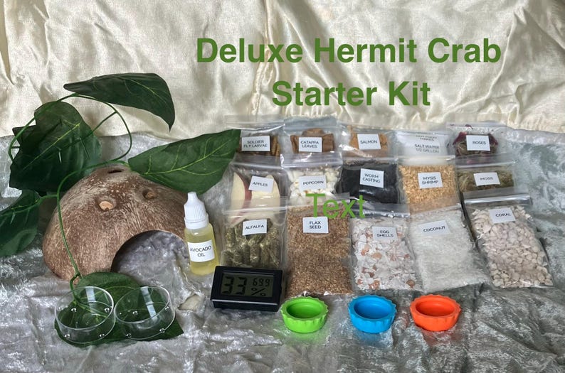 May include: A Deluxe Hermit Crab Starter Kit with various supplies. The kit includes a coconut hideaway, avocado oil, a digital thermometer, small bowls, and several small bags of food and substrate. The text "Deluxe Hermit Crab Starter Kit" is visible.
