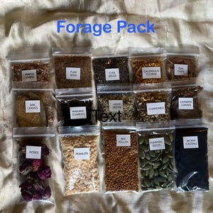 May include: A collection of small, clear plastic bags filled with various foraged items. The bags contain maple chips, flax seed, chia seeds, calendula flower, oak chips, oak leaves, wakame seaweed, hemp seeds, chamomile, catappa leaves, roses, peanuts, bee pollen, pumpkin seeds, and worm casting. The text "Forage Pack" is visible.