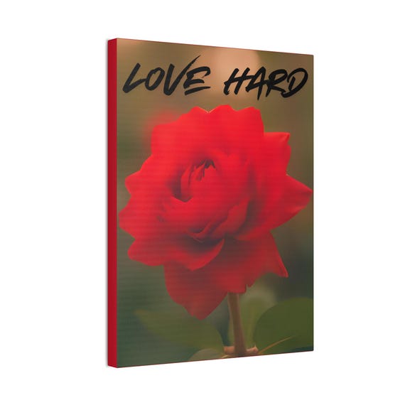 Love Hard red rose Canvas