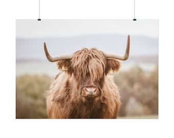Stampa con mucca delle Highlands: decorazione murale rustica in stile nordico per case di campagna.