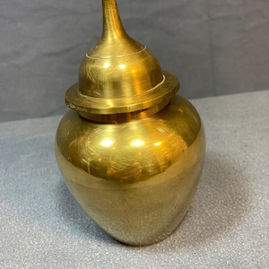 May include: A polished brass vessel with a rounded body and a matching lid featuring a pointed, conical finial. The metal surface exhibits a warm, golden metallic sheen with subtle horizontal brush marks and reflective highlights across the curves.