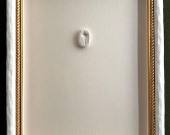 Charleston - "Shell Menagerie II" - Pressed Shells in Clay, Custom Framed