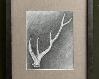 Yellowstone - Antler - Original Charcoal Drawing on Archival Paper, Custom Framed