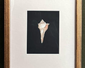 Charleston - "Whelk" - Watercolor and Guache on Watercolor Paper, Custom Framed