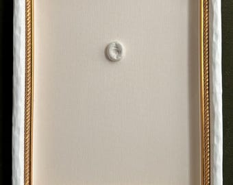 Charleston - "Shell Menagerie I" - Pressed Shells in Clay, Custom Framed