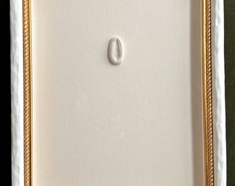 Charleston - "Shell Menagerie IV" - Pressed Shells in Clay, Custom Framed
