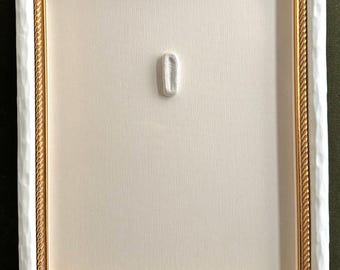 Charleston - "Shell Menagerie III" - Pressed Shells in Clay, Custom Framed