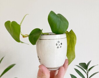 Small Neutral Bowl or Cup. Handmade Pottery. Perfect for Succlent Pot or Small Candle