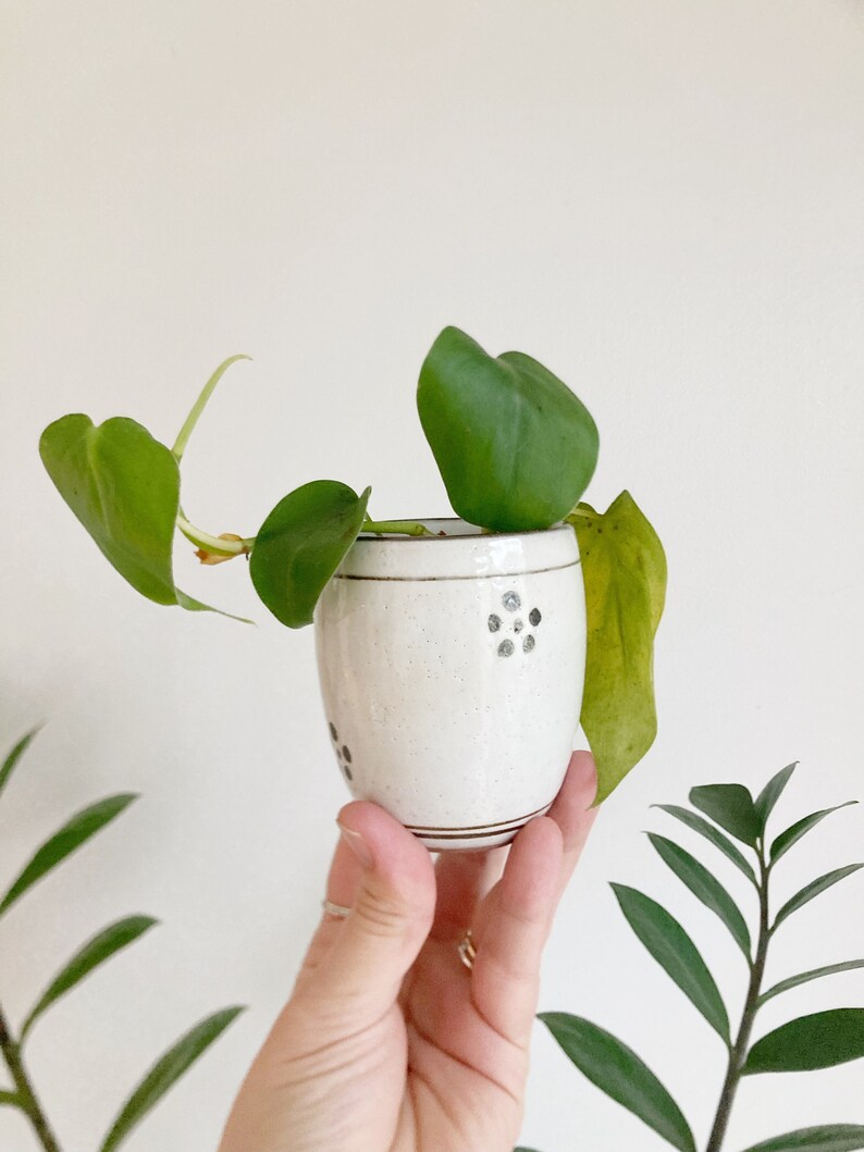 Small Neutral Bowl or Cup. Handmade Pottery. Perfect for Succlent Pot or Small Candle image 1