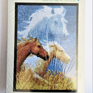 Horses Counted Cross Stitch Kit, Forever Wild, JanLynn 013-0314,  5 x 7 inches, Blue 14 Ct Aida, Complete Kit