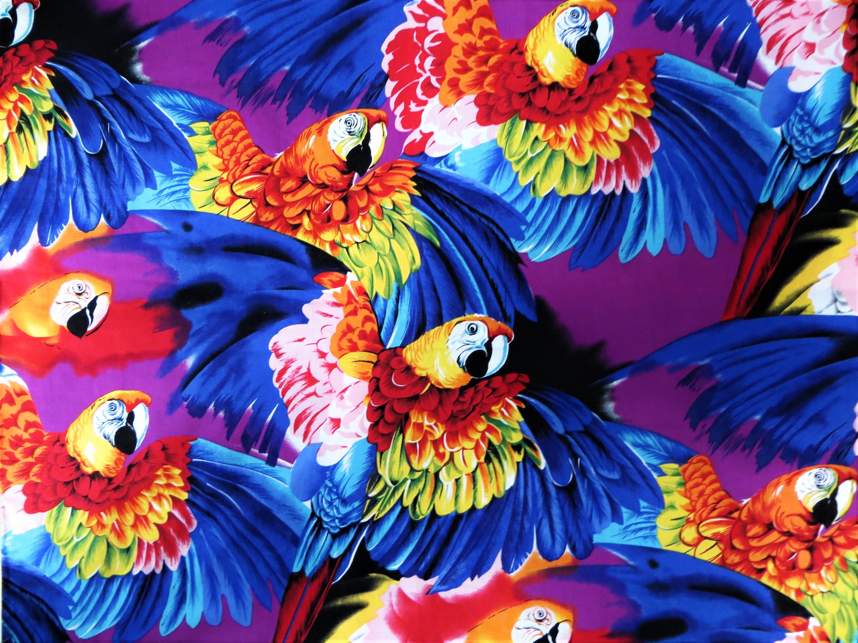 Tropical Birds Wall Quilt Tablecloth Macaws Toucans Applique Patchwork tropical-birds-wall-quilt-tablecloth-macaws-toucans-applique-patchwork