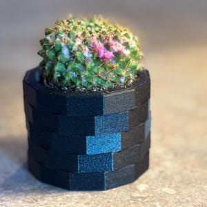 May include: A small cactus with green and pink hues sits in a black, geometric planter. The planter has a textured, layered design, with a subtle blue shimmer on some of the facets. The overall aesthetic is modern and minimalist.