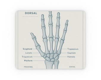 Anatomical Hand Skeleton Rectangular Mouse Pad | Labeled Bones, Medical Illustration