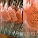 Sparkler Tags - Light the Way for the Bride & Groom - Wedding Favor Tags Script w. Names, Date - Silver, Gold, Pink (24 / 36ct) 