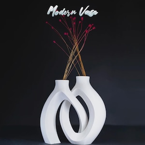 May include: Two white, modern vases with an intertwined design, holding dried stems with small red accents. The vases are set against a dark background, with the text "Modern Vase" above them.