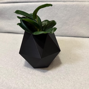 May include: A black geometric planter with a dark green plant. The planter has a faceted design and is filled with a leafy plant. The plant's leaves are a deep green color. The planter is approximately 5 inches tall.