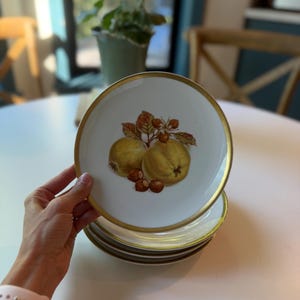 May include: A stack of white ceramic plates with a gold rim. The top plate features a central illustration of two yellow quince fruits, brown hazelnuts, and green leaves. The design is centered on the white surface of each plate in the stack.
