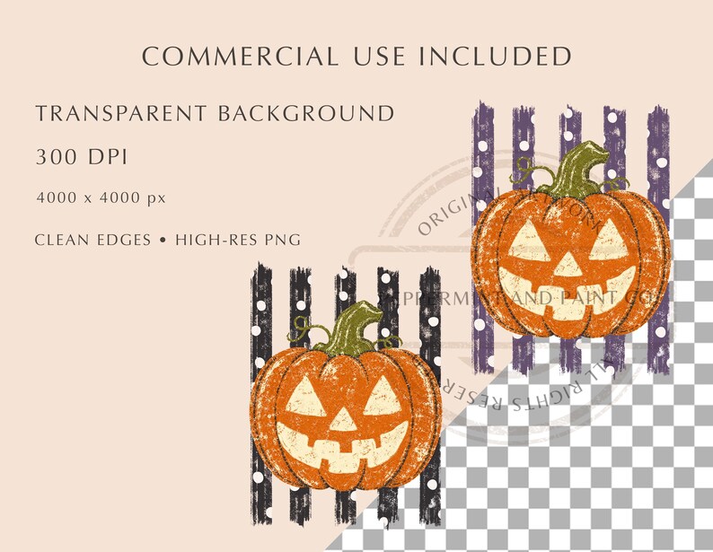 Peut inclure: Deux illustrations num&eacute;riques de citrouilles d'Halloween orange avec des tiges vertes, chacune plac&eacute;e sur un fond de rayures verticales noires &agrave; pois blancs. Le texte indique : COMMERCIAL USE INCLUDED, TRANSPARENT BACKGROUND, 300 DPI, 4000 x 4000 px, CLEAN EDGES &bull; HIGH-RES PNG.