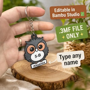 Editable Owl Keychain 3MF File, Bambu Studio Custom Name Tag (Digital Download)
